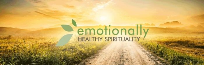 emotionally healthy spirituality small group