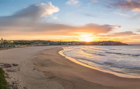 The Salvation Army red shield logo