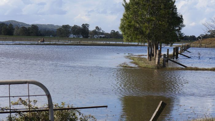 Flooded field