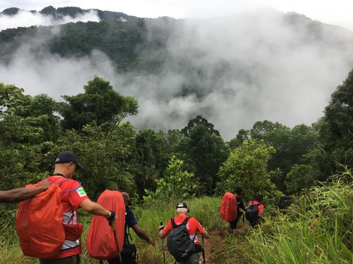 Trekkers walking down a hill on the Kokoda Track