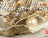 Pearls From Paul
