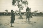 Bourke's best - Tom Hodges