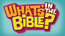 DVD - What's in the bible