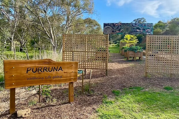 Purruna. Wellbeing. Life giving. Entrance to the Purruna garden with a wooden sign, trellis panels, and raised garden beds.