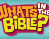 DVD - What's in the bible