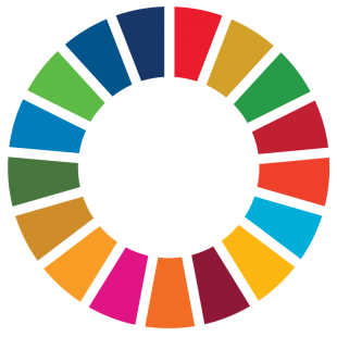 UN Sustainable Development wheel