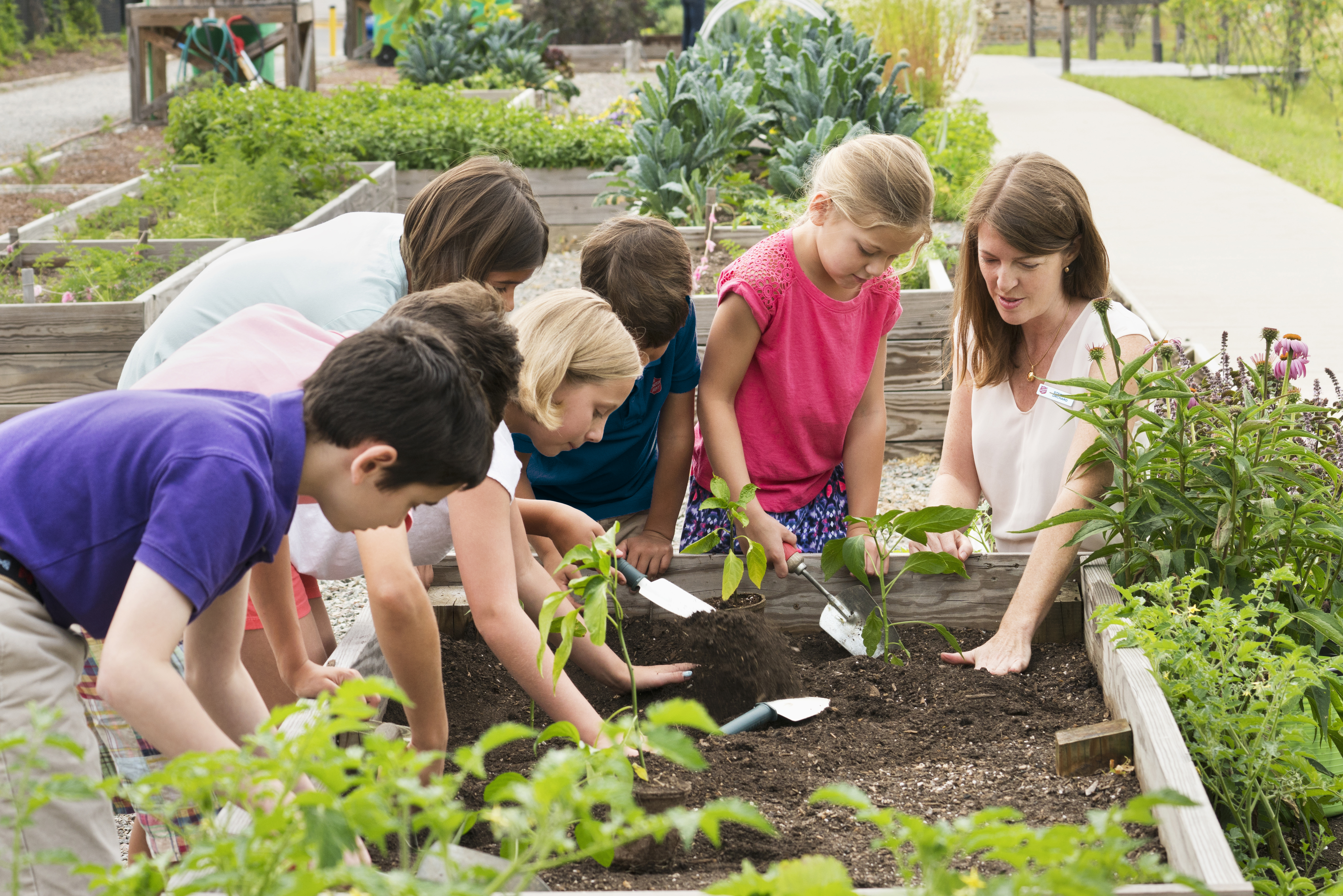 Children working in a garden