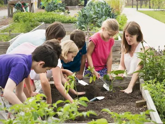 Children working in a garden