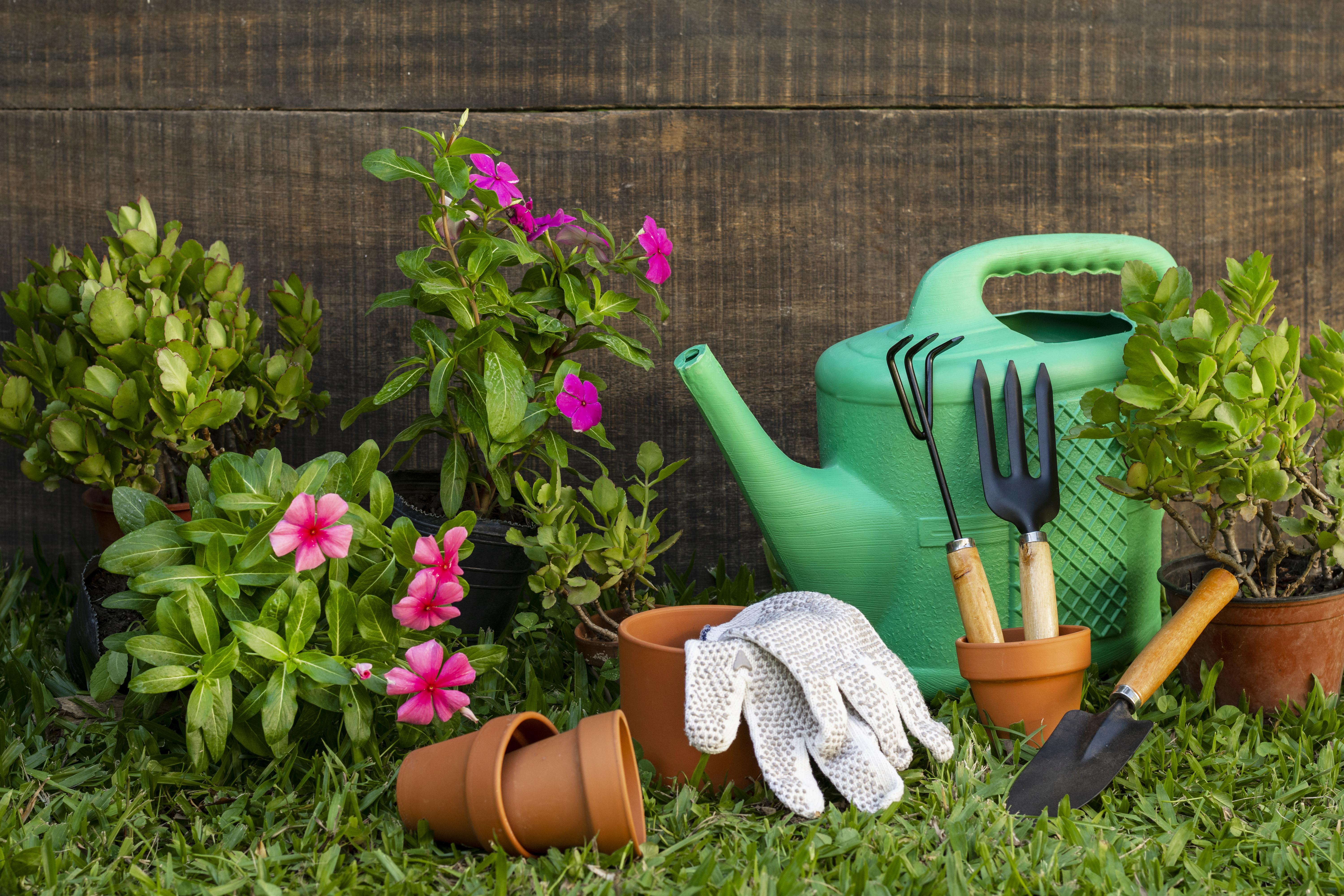 The community garden
