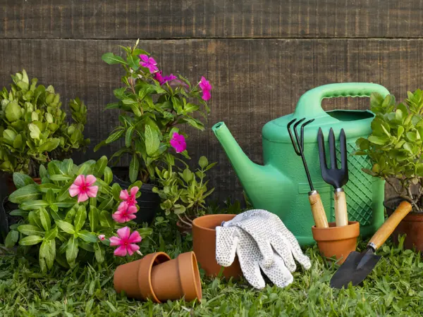 The community garden