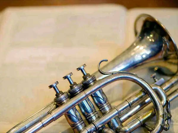 Learn to play a brass instrument