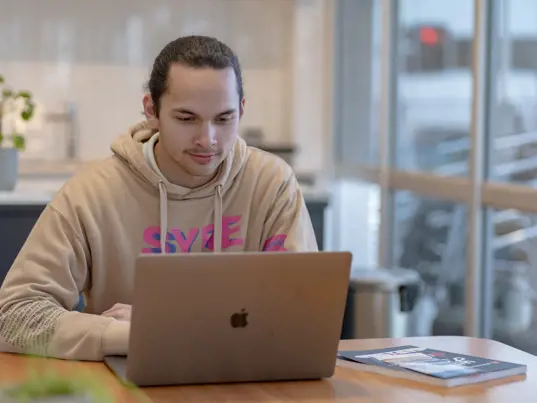 Online store assistant