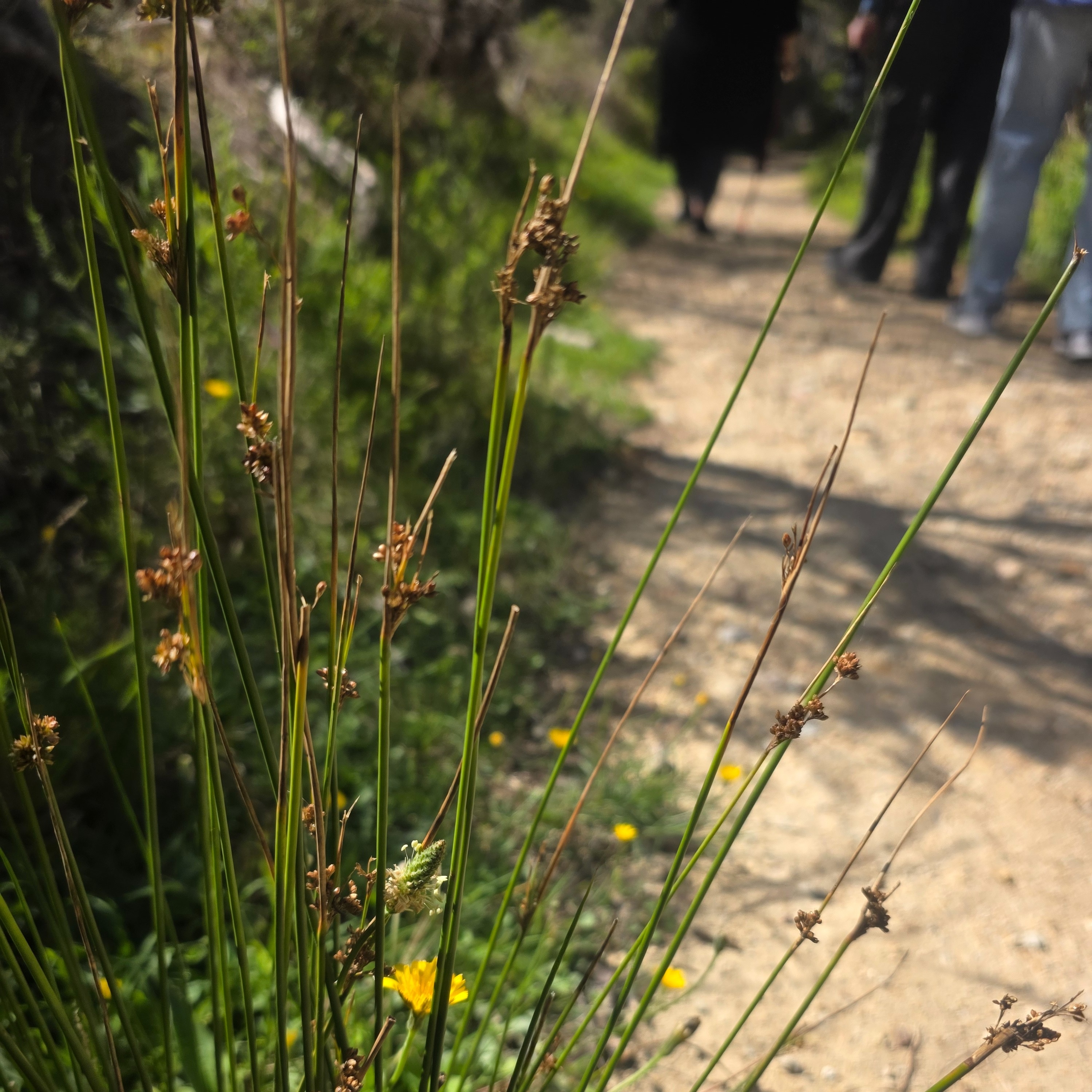 Spiritual Walks
