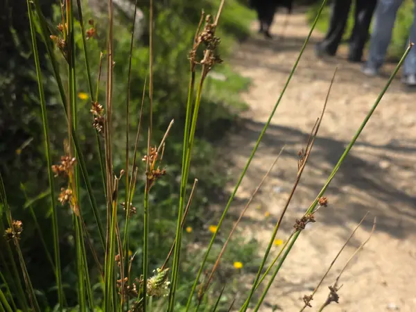 Spiritual Walks