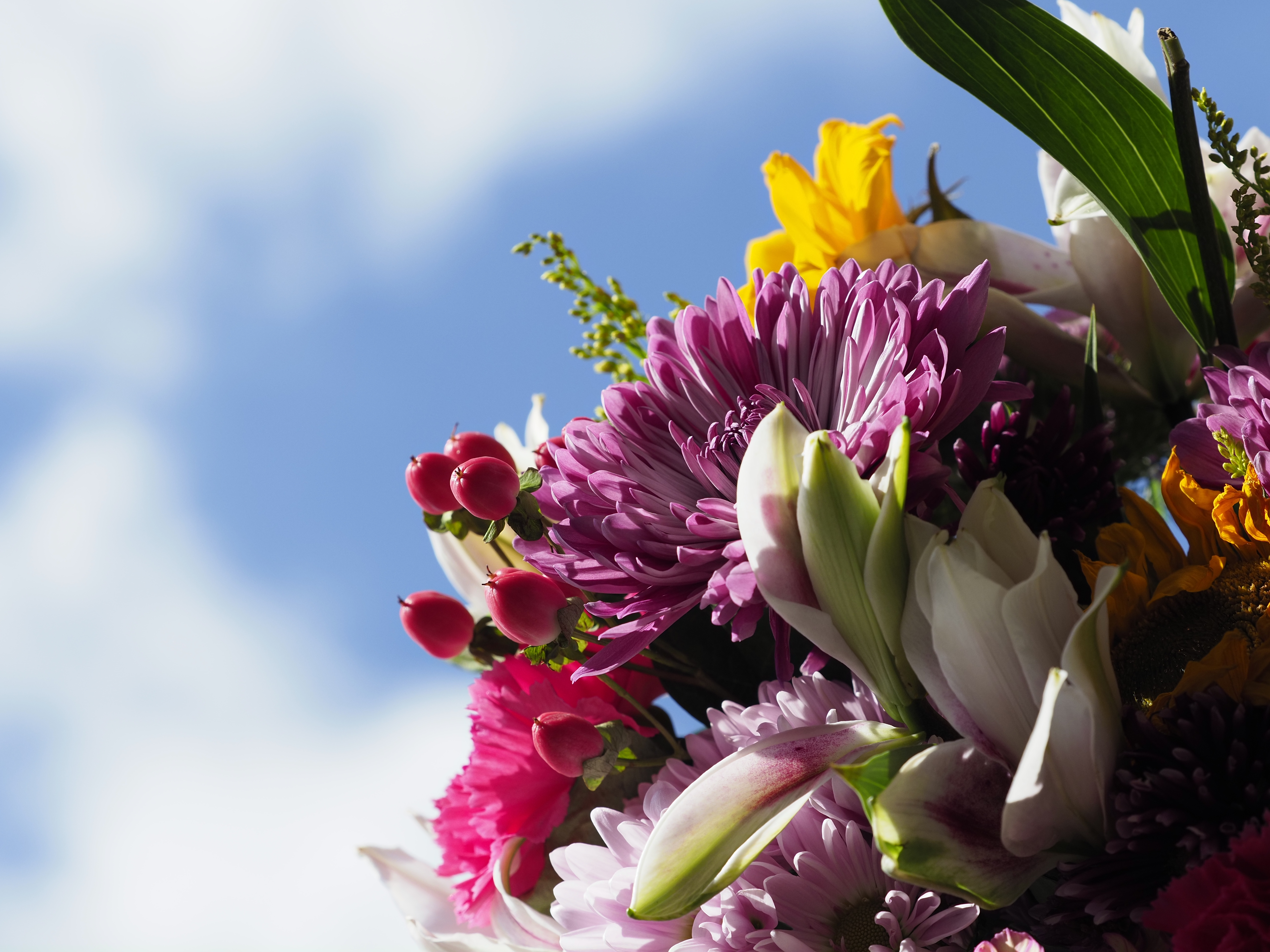 flowers