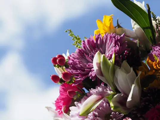 flowers