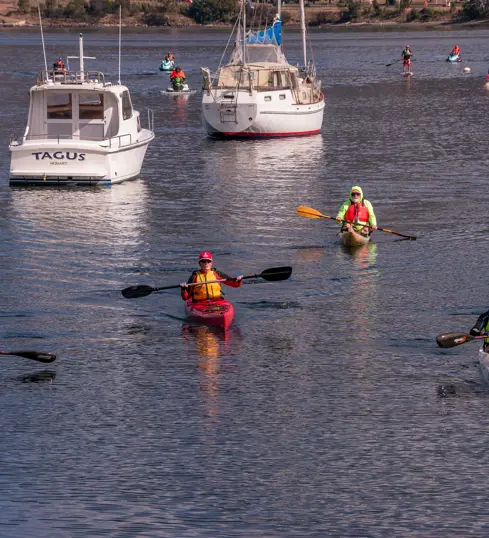 Paddle schedule