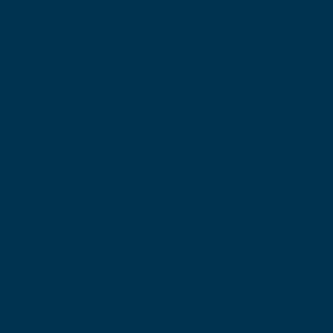 TSA Navy - for print applications