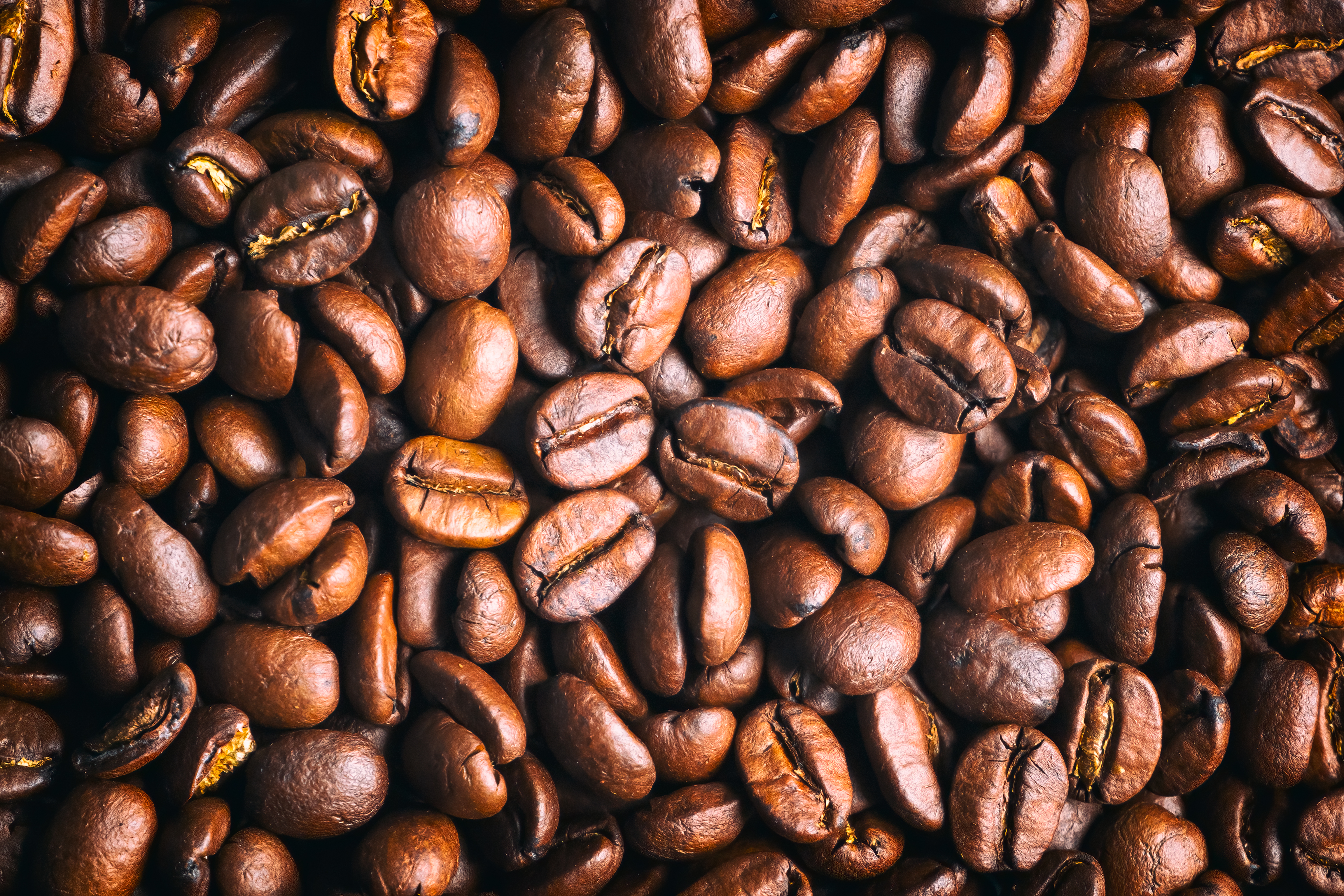 coffee beans image