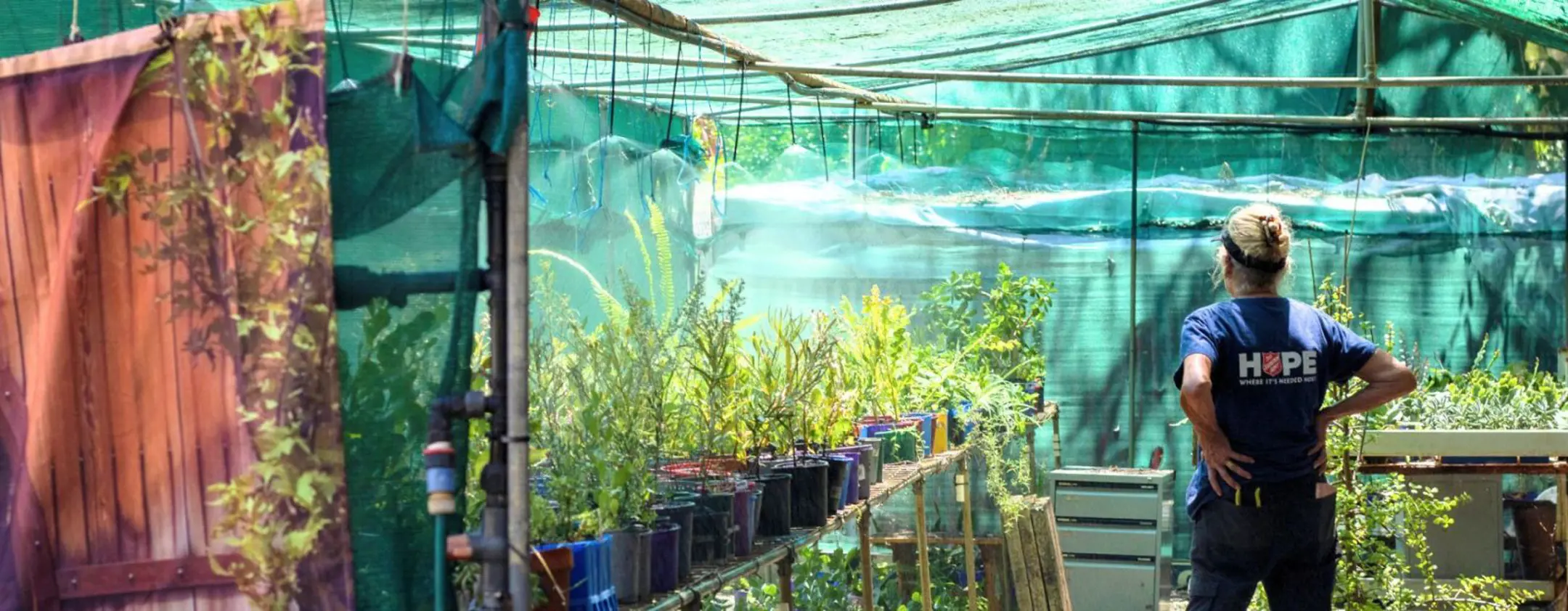 Garden of Hope banner image showing a Salvos worker standing in a greenhouse.