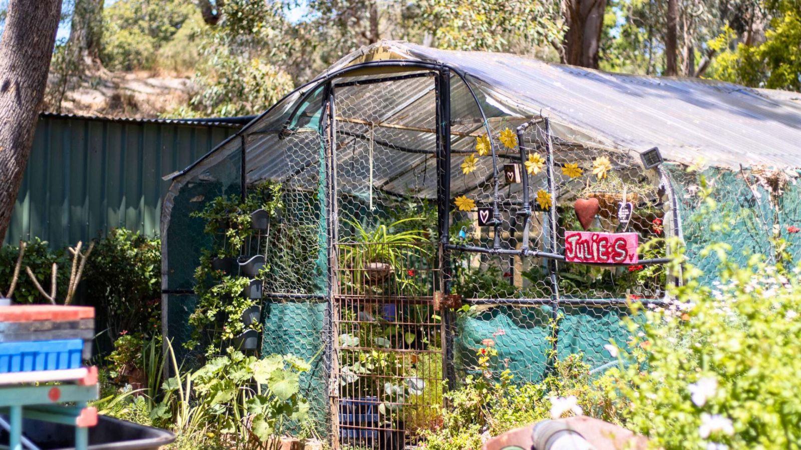 green house in garden