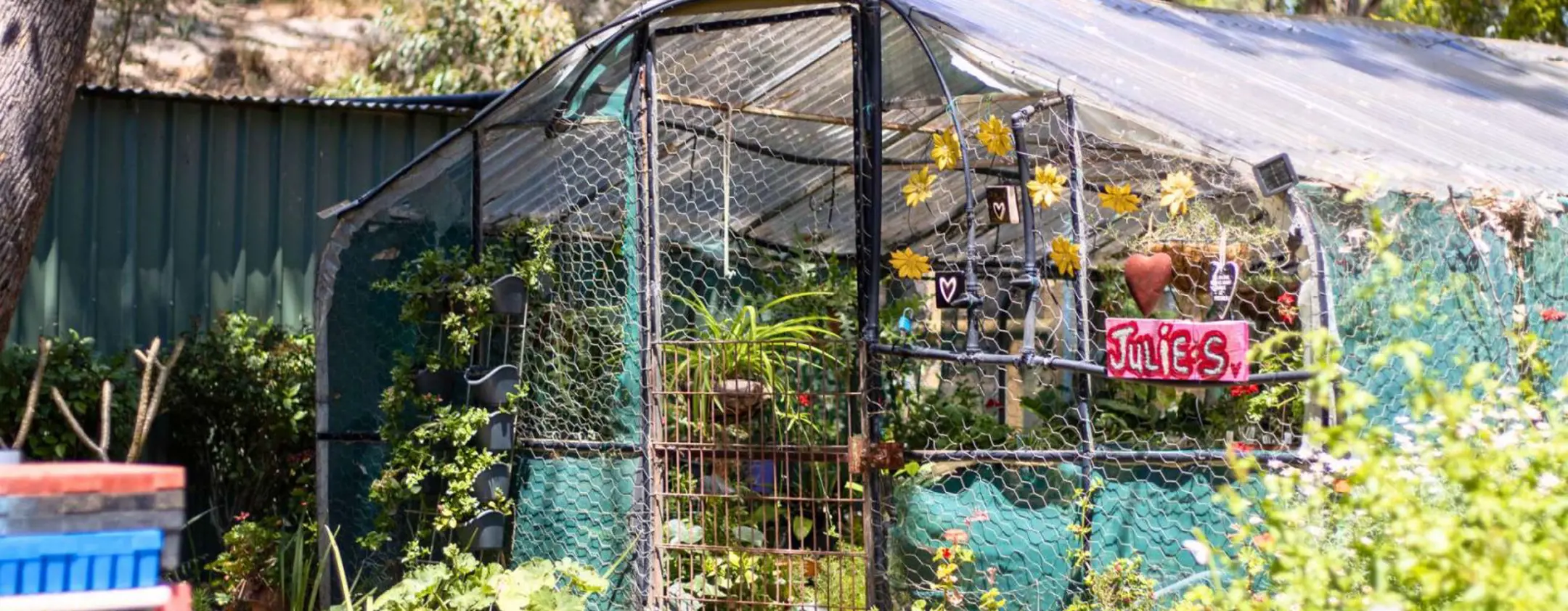 green house in garden