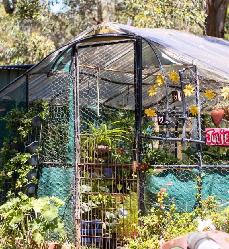 green house in garden
