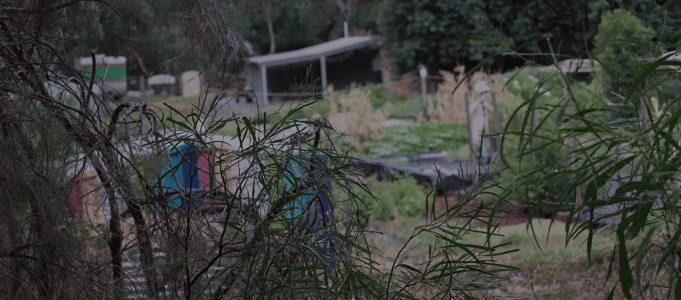 Trees and outdoor buildings