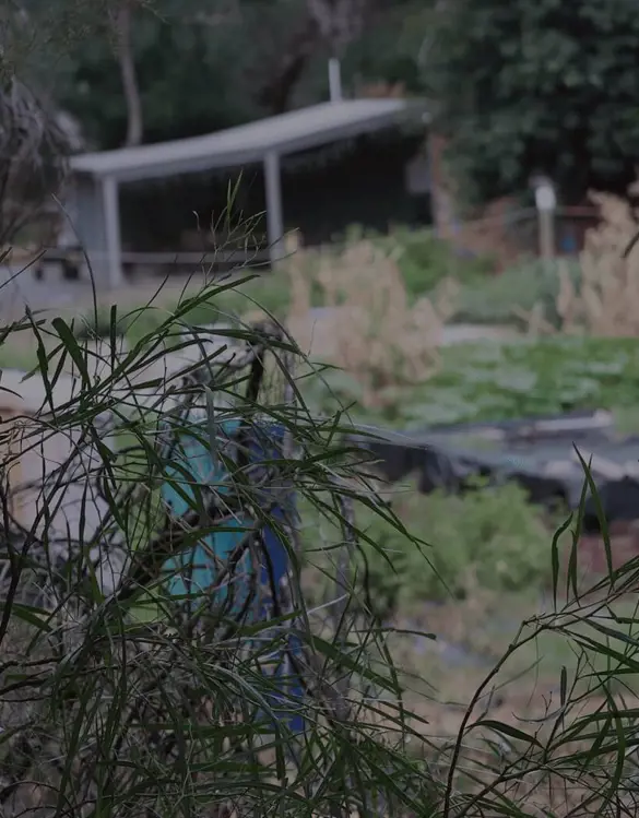 Trees and outdoor buildings