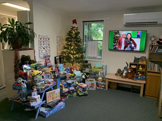 Christmas support