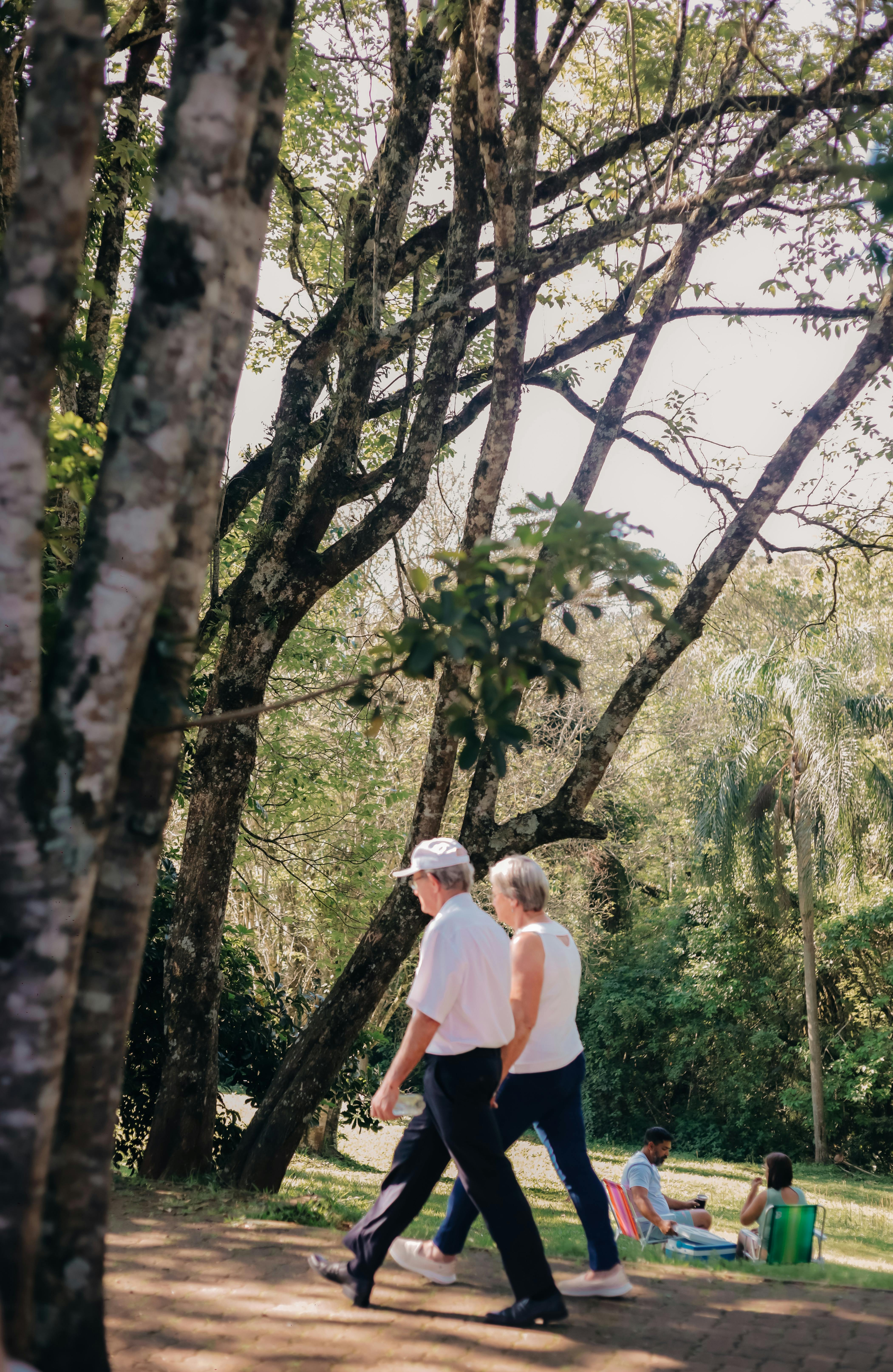 Walking Group