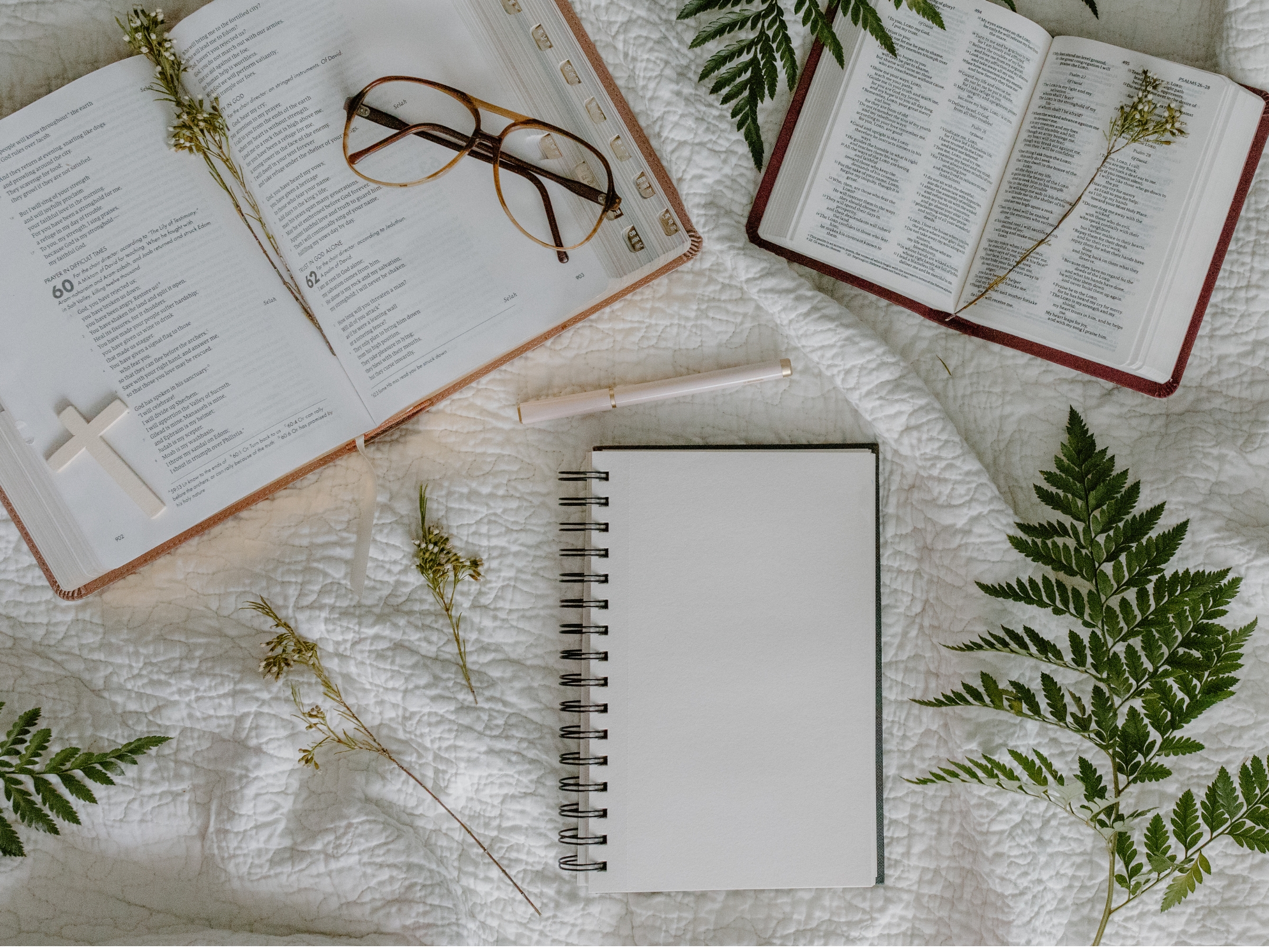 Bible Study Tools
