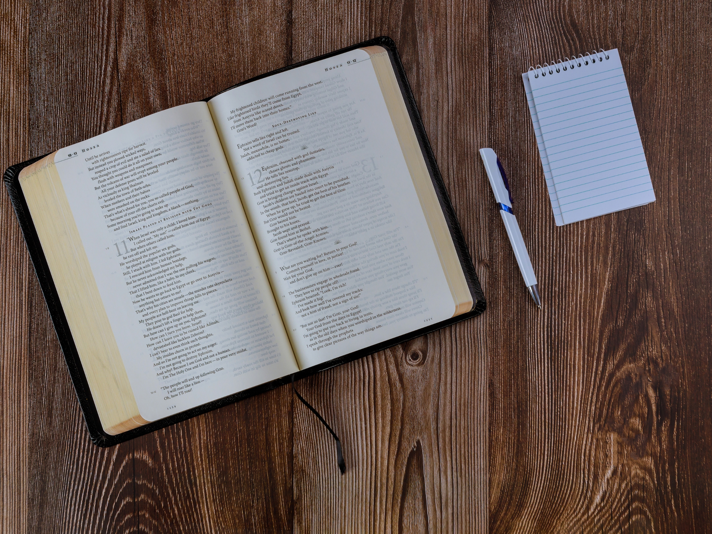 Daily Devotionals