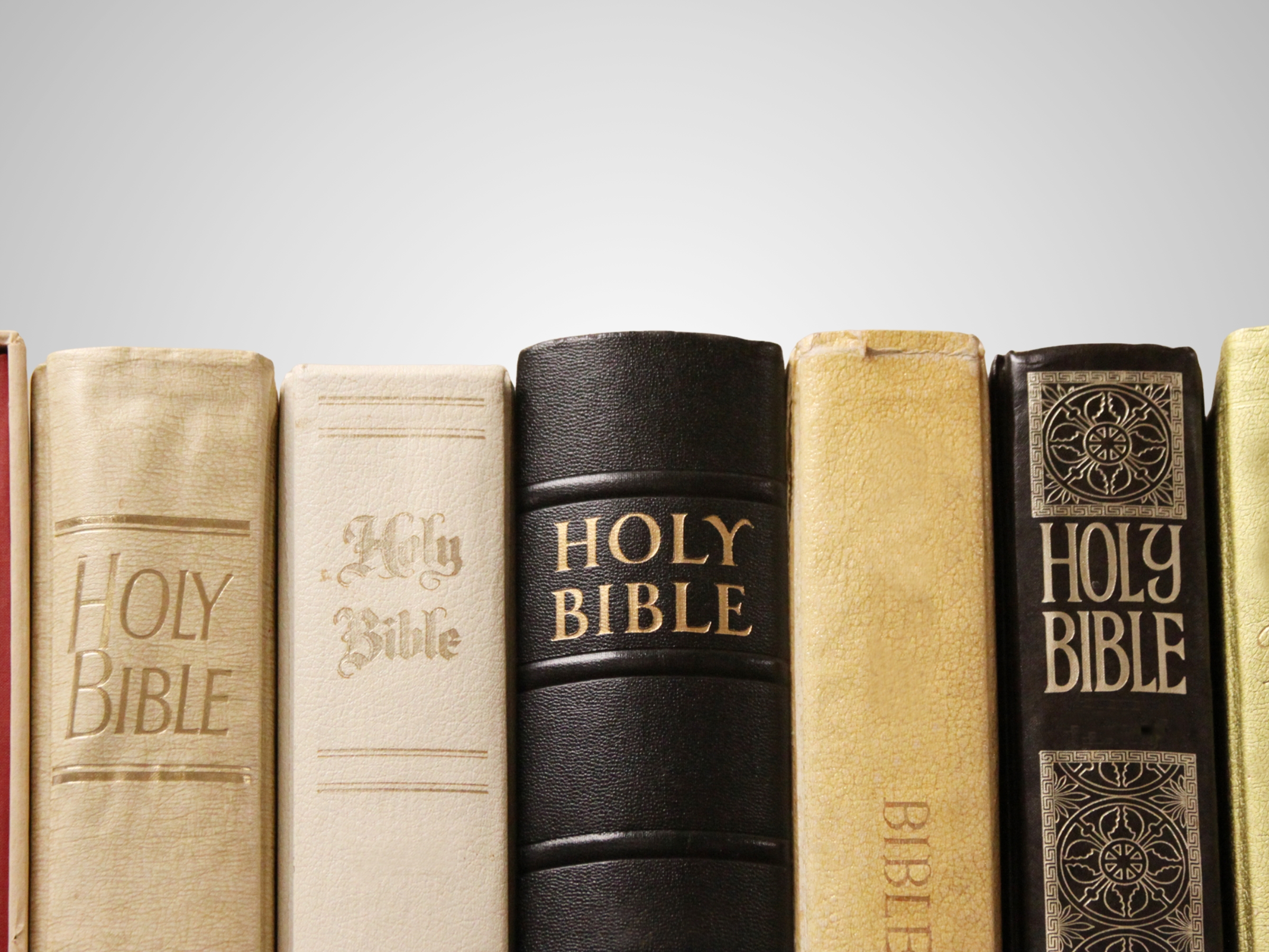 New to the Bible?