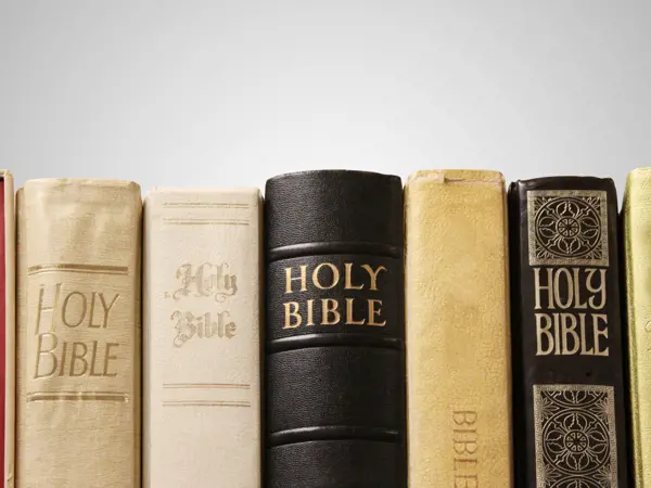 New to the Bible?